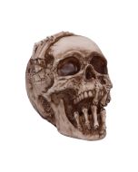 Breaking Out Skull (JR) 20cm Skulls April Flash Sale Day 5