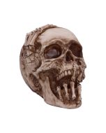 Breaking Out Skull (JR) 20cm Skulls Gifts Under £100