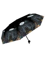 Familiars Umbrella (LP) Cats Last Chance to Buy