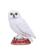 Wizard's Familiar 10cm Owls Stock Arrivals