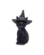 Purrah 30cm (Large) Cats Top 200