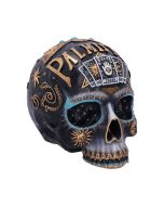 Destiny 18cm Skulls Palmistry