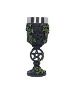 Aged Pentagram Goblet 19.5cm Witchcraft & Wiccan Gifts Under £100