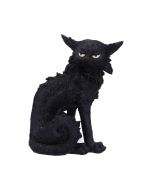 Salem (Small) 19.6cm Cats Gifts Under £100