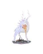 Evelyn 32.5cm Fairies Stock Arrivals