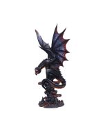 Cathoron's Call 49cm Dragons Winter 2024