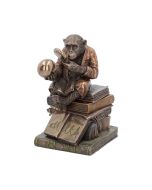 Darwinism of Evolutionary Theory 17.5cm Animals Stock Arrivals
