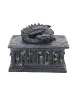 Dragon Tarot Card Box 18cm Dragons Father's Day