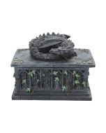 Dragon Tarot Card Box 18cm Dragons RRP Under 50