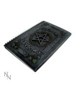 Ivy Book Of Shadows (22cm) Witchcraft & Wiccan Back in Stock