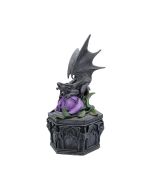Dragon Beauty Box (AS) 25cm Dragons Mother's Day