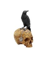 Salems Familiar 27cm Skulls Stock Arrivals