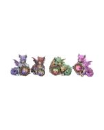 Dragon's Reward (Set of 4) 5.5cm Dragons Dragon Figurines