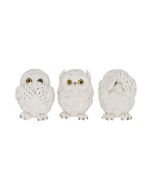 Three Wise Owls 8cm Owls RRP Under 20