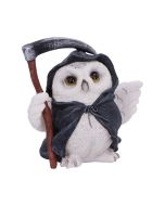 Reapers Flight 12.5cm Owls Roll Back Offer