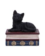 Salems Spells 11.7cm Cats Gifts Under £100
