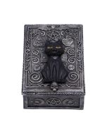 Familiar Spell Box 13.7cm Cats Gifts Under £100