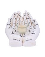 Palmist's Guide (White) 22.3cm Palmistry April Flash Sale Day 3