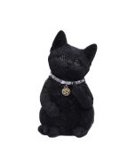 Cattitude 16.5cm Cats Back in Stock