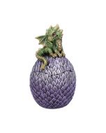Dragonling Perch Box (Green) 14cm Dragons Dragons