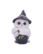 Owl Potion 17.5cm Owls Gifts Under £100