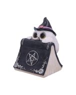 Owl's Spell 15cm Owls Gifts Under £100